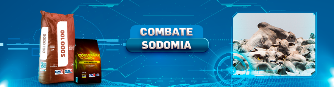 Sodomia